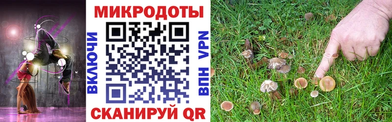 Галлюциногенные грибы Psilocybine cubensis  Ирбит 